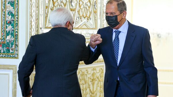 سفر سرگی لاوروف وزیر امور خارجه روسیه به تهران
دیدار با وزیر خارجه ایران - اسپوتنیک ایران  