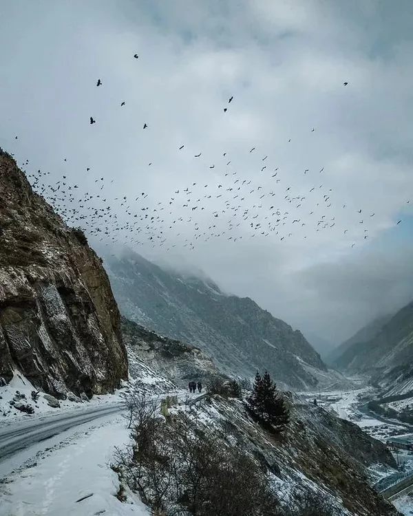 جمهوری اوستیای شمالی-آلانیا یکی از واحدهای فدرال کشور روسیه است. مرکز آن شهر ولادیقفقاز است
جمهوری اوستیای شمالی-آلانیا یکی از واحدهای فدرال کشور روسیه است. مرکز آن شهر ولادیقفقاز است
- اسپوتنیک ایران