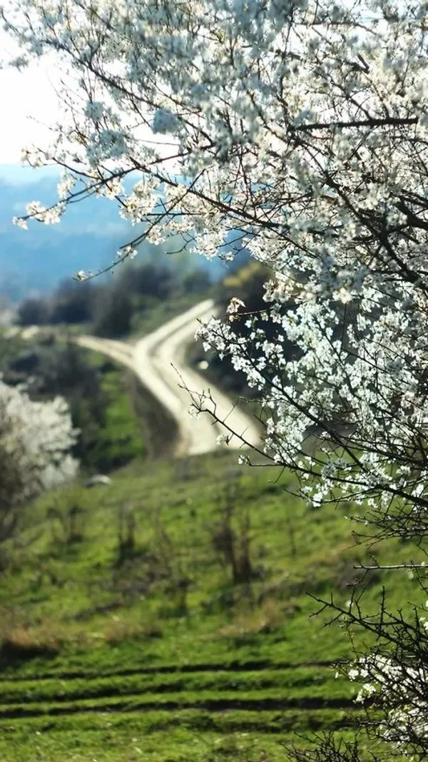 اوستیا منطقه ای در دو طرف رشته کوه قفقاز است و بخش شمالی این منطقه در محدوده فدراسیون روسیه قرار دارد
اوستیا منطقه ای در دو طرف رشته کوه قفقاز است و بخش شمالی این منطقه در محدوده فدراسیون روسیه قرار دارد
- اسپوتنیک ایران
