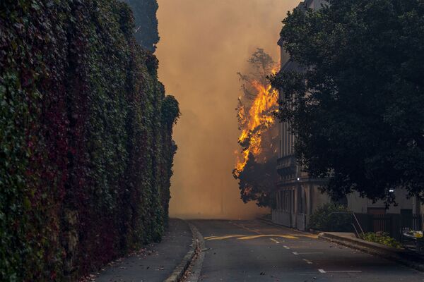 در تاریخ 18 آوریل، آتش نشان فعال در پایتخت آفریقای جنوبی خاموش شد - اسپوتنیک ایران  