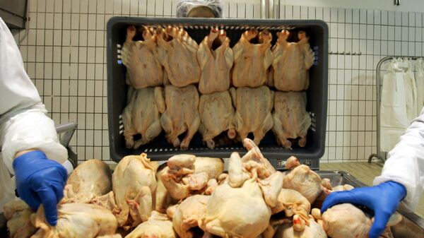 در بازار مرغ  در تهران چه خبر است؟ - اسپوتنیک ایران  