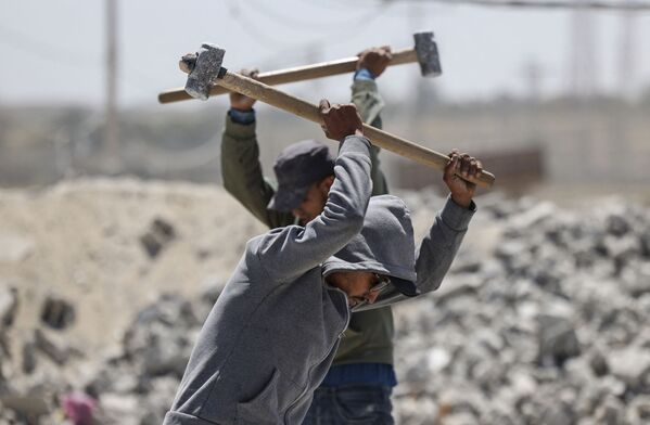 جشن روز بین المللی کارگر
کارگران فلسطین - اسپوتنیک ایران  