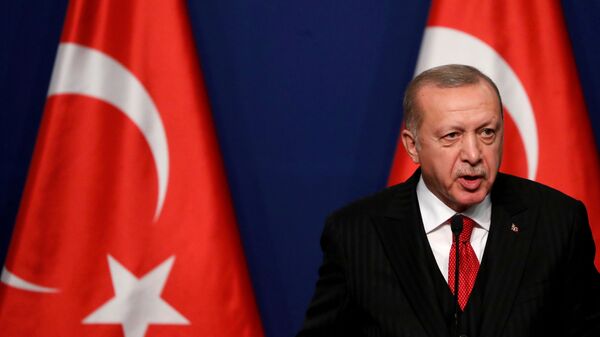 اردوغان: ترکیه می خواهد که نیروهای امریکایی از سوریه و عراق همانند افغانستان بیرون روند  - اسپوتنیک ایران  