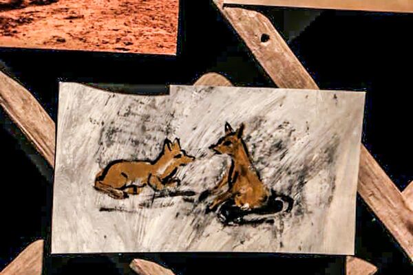 نمایشگاه «ویدیو اینستالیشن» با عنوان «روباه دشت اینچه» اثر «جواد عظیمی» در گرگان - اسپوتنیک ایران  