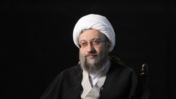 آملی لاریجانی به ردصلاحیت های گسترده اعتراض کرد - اسپوتنیک ایران  