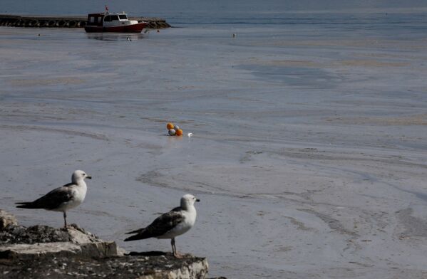 نمای دریای مرمره پوشیده از لیزاب در بندر استانبول از بالا - اسپوتنیک ایران  