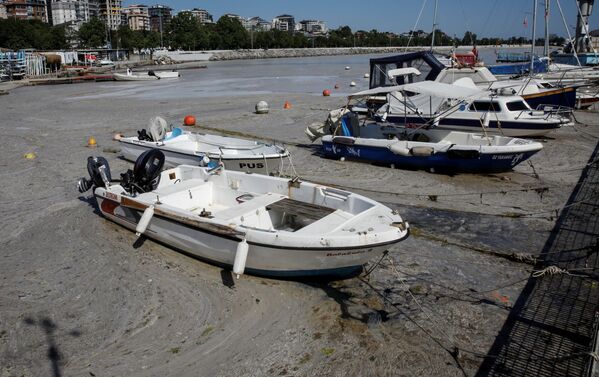 قایق ها در بندر استامبول پوشیده از لیزاب دریایی - اسپوتنیک ایران  