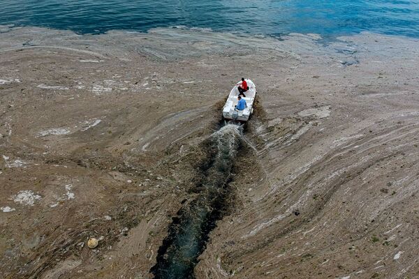 لیزاب غلیظ دریای مرمره در منطقه استانبول را پوشانده  است - اسپوتنیک ایران  