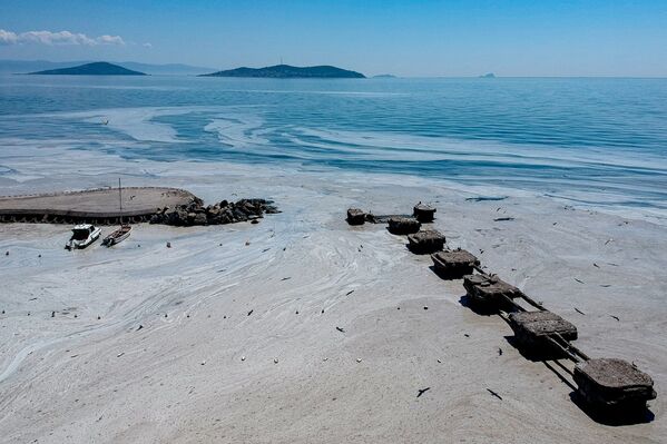 لیزاب غلیظ دریای مرمره در منطقه استانبول را پوشانده  است - اسپوتنیک ایران  