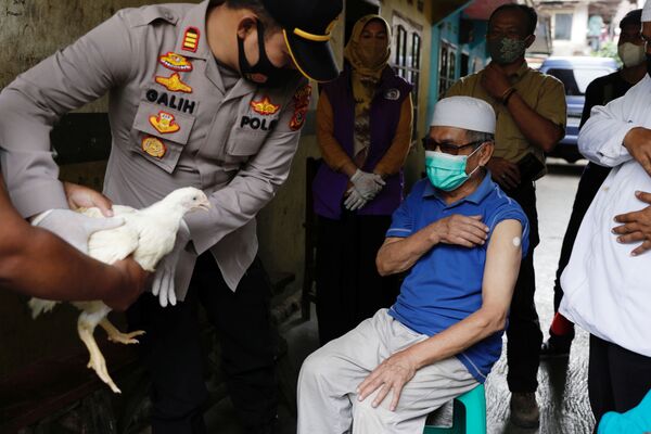 جوایز واکسن زدن در کشورهای جهان
مرغ زنده در اندونزی - اسپوتنیک ایران  