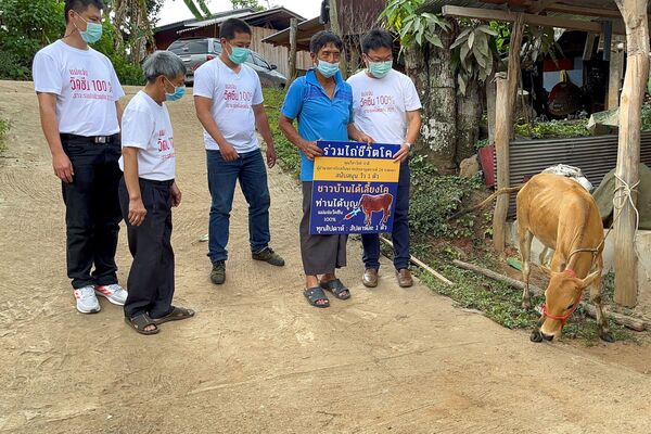 جوایز واکسن زدن در کشورهای جهان
اهدای گاو زنده در تایلند - اسپوتنیک ایران  