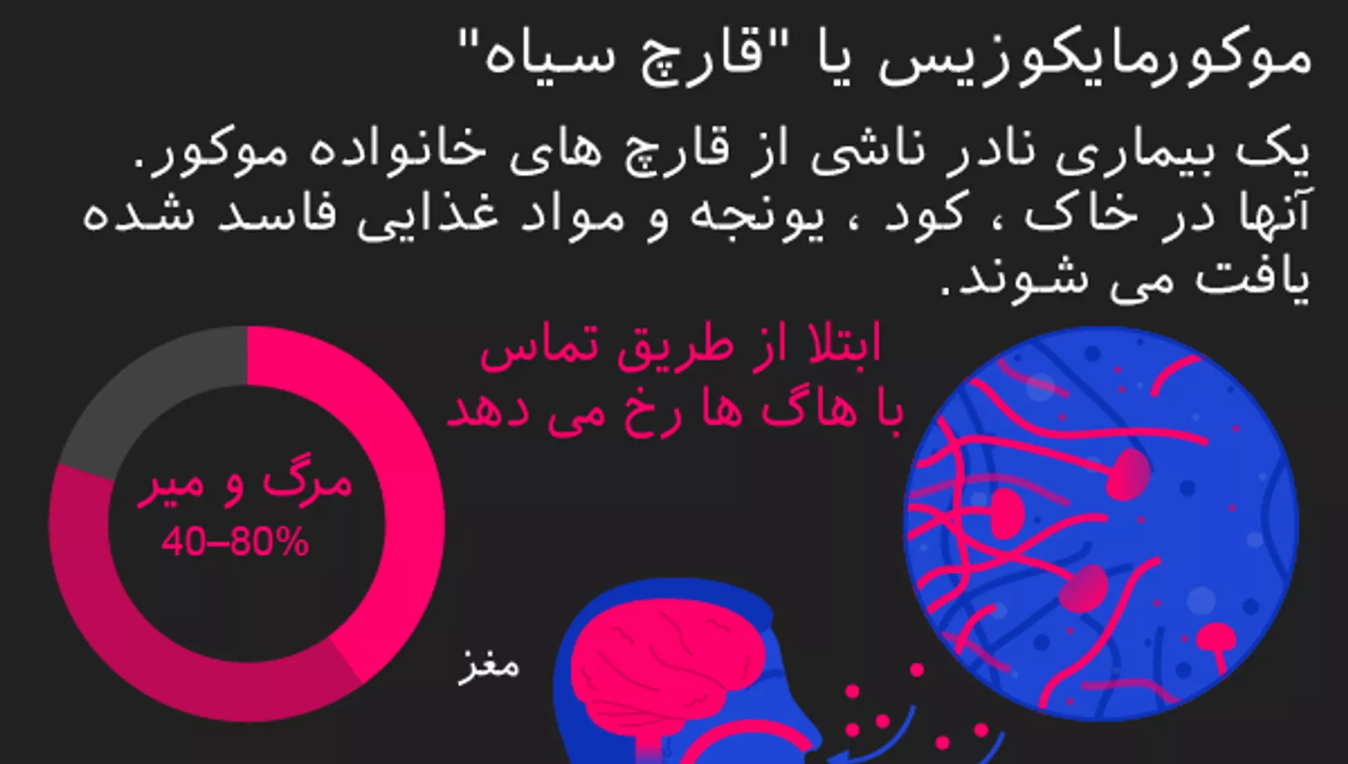 موکورمایکوزیس یا قارچ سیاه