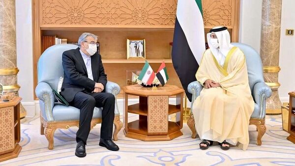 دیدار معاون نخست وزیر امارات با کاردار ایران در ابوظبی  - اسپوتنیک ایران  
