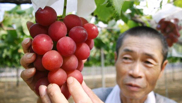 فروش یک خوشه انگور در ژاپن به  مبلغی باورنکردنی - اسپوتنیک ایران  