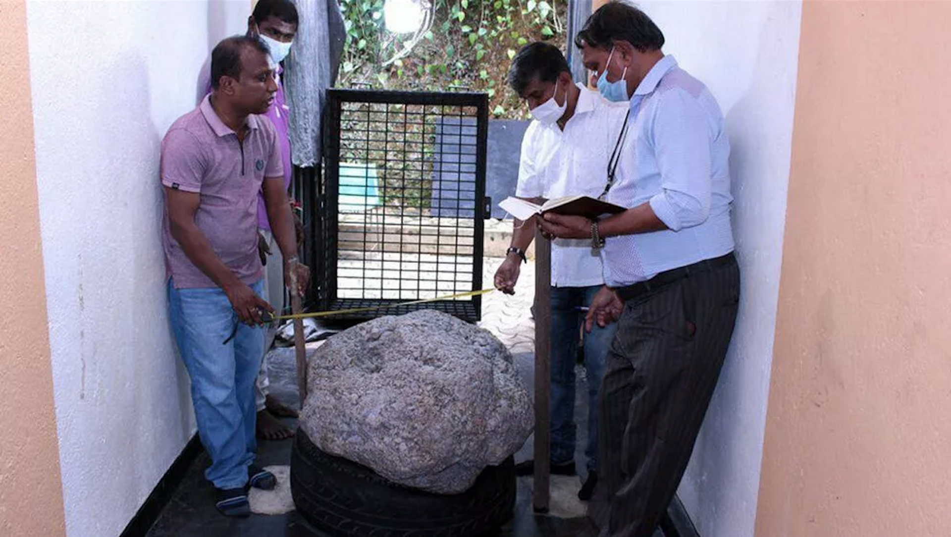 مرد سریلانکایی به طور تصادفی یاقوت کبودی به وزن 510 کیلوگرم پیدا کرد - اسپوتنیک ایران  , 1920, 27.07.2021