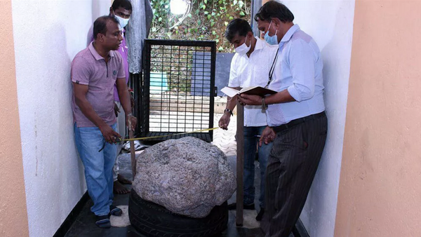مرد سریلانکایی به طور تصادفی یاقوت کبودی به وزن 510 کیلوگرم پیدا کرد - اسپوتنیک ایران  