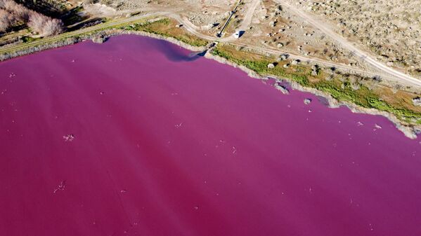 یکی از جاذبه های زیبا در آرژانتین، دریاچه صورتی است - اسپوتنیک ایران  