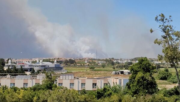 آتش سوزی مهیب جنگلی در ترکیه با بیش از 180 مصدوم - اسپوتنیک ایران  