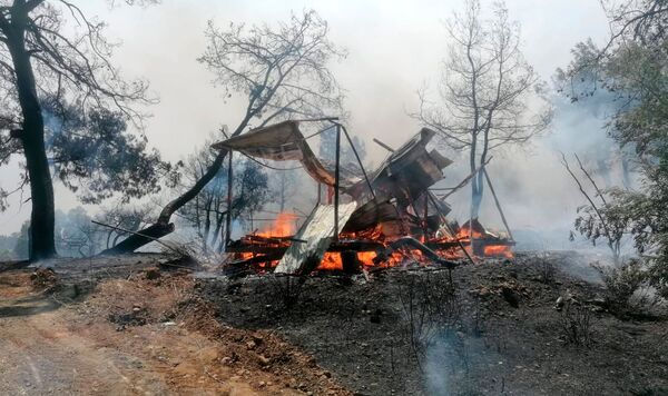 آتش سوزی وسیعی در منطقه شهر ماناوگات در استان آنتالیای ترکیه رخ داده است - اسپوتنیک ایران  