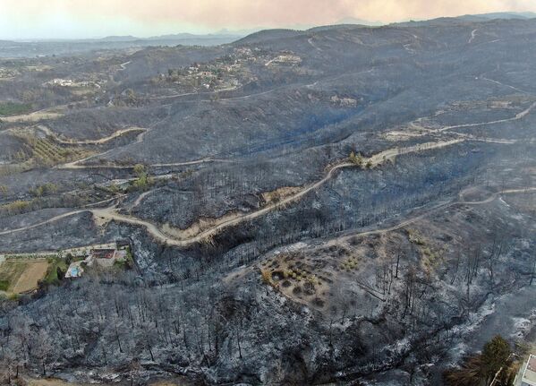 فاجعه ملی: آتش سوزی انبوه در جنگل های ترکیه - اسپوتنیک ایران  