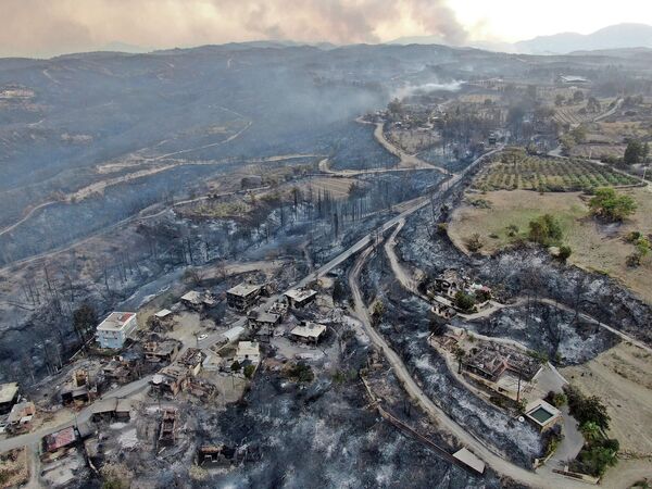 پیامدهای آتش سوزی جنگلی در ترکیه  - اسپوتنیک ایران  