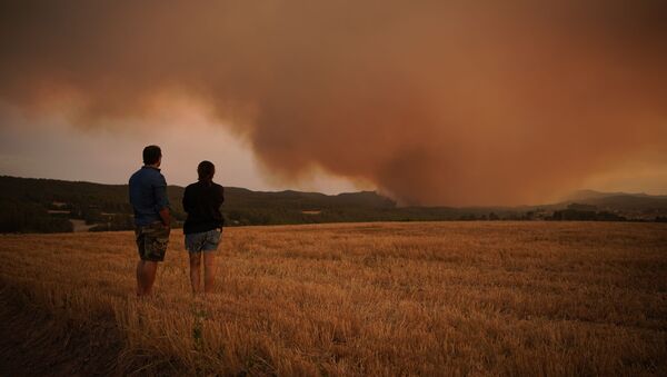 آتش سوزی جنگلی در اسپانیا - اسپوتنیک ایران  