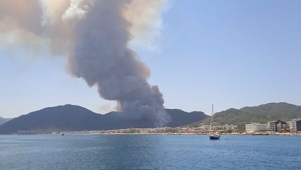 رسانه های ترکیه نام عاملان آتش سوزی جنگل ها را افشا کردند - اسپوتنیک ایران  