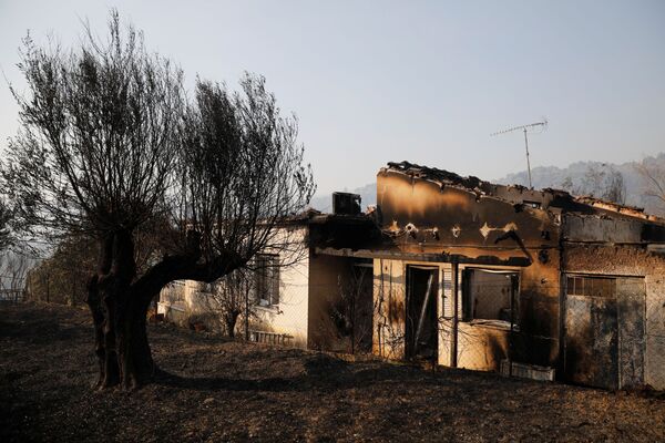 یونان در کام آتش - اسپوتنیک ایران  