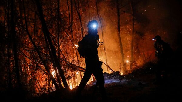 آتش سوزی شدید در یونان + تصاویر - اسپوتنیک ایران  