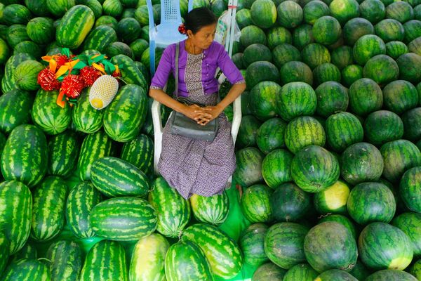 روز جهانی هندوانه
میانمار - اسپوتنیک ایران  