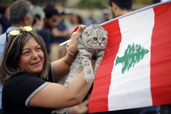 زن معترض در لبنان به همراه گربه خودش - اسپوتنیک ایران  