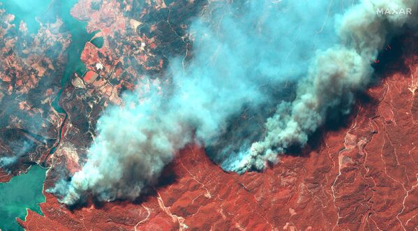 رویدادهای هفته به روایت تصویر
آتش سوزی جنگلی در ترکیه - اسپوتنیک ایران  