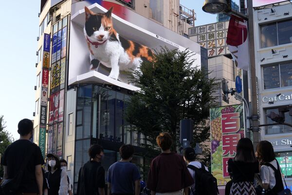 رویدادهای هفته به روایت تصویر
آگهی تبلیغاتی 3 بعدی گربه در ژاپن - اسپوتنیک ایران  