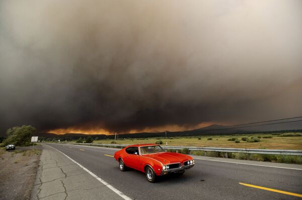 رویدادهای هفته به روایت تصویر
آتش سوزی در کالیفرنیا - اسپوتنیک ایران  