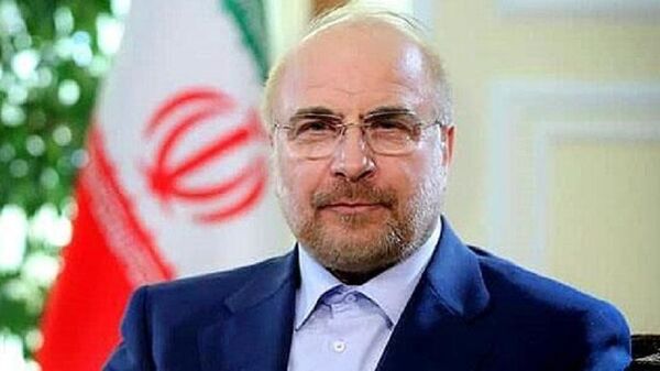 محمدباقر قالیباف، رییس مجلس شورای اسلامی ایران  - اسپوتنیک ایران  