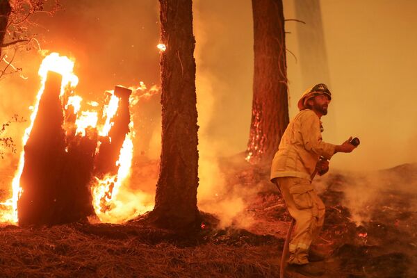 رویدادهای هفته به روایت تصویر
آتش سوزی در کالیفرنیا - اسپوتنیک ایران  