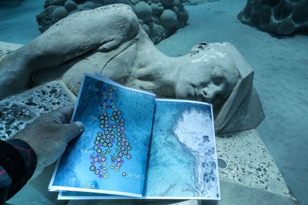 جنگل جادویی زیر آب در قبرس - اسپوتنیک ایران  