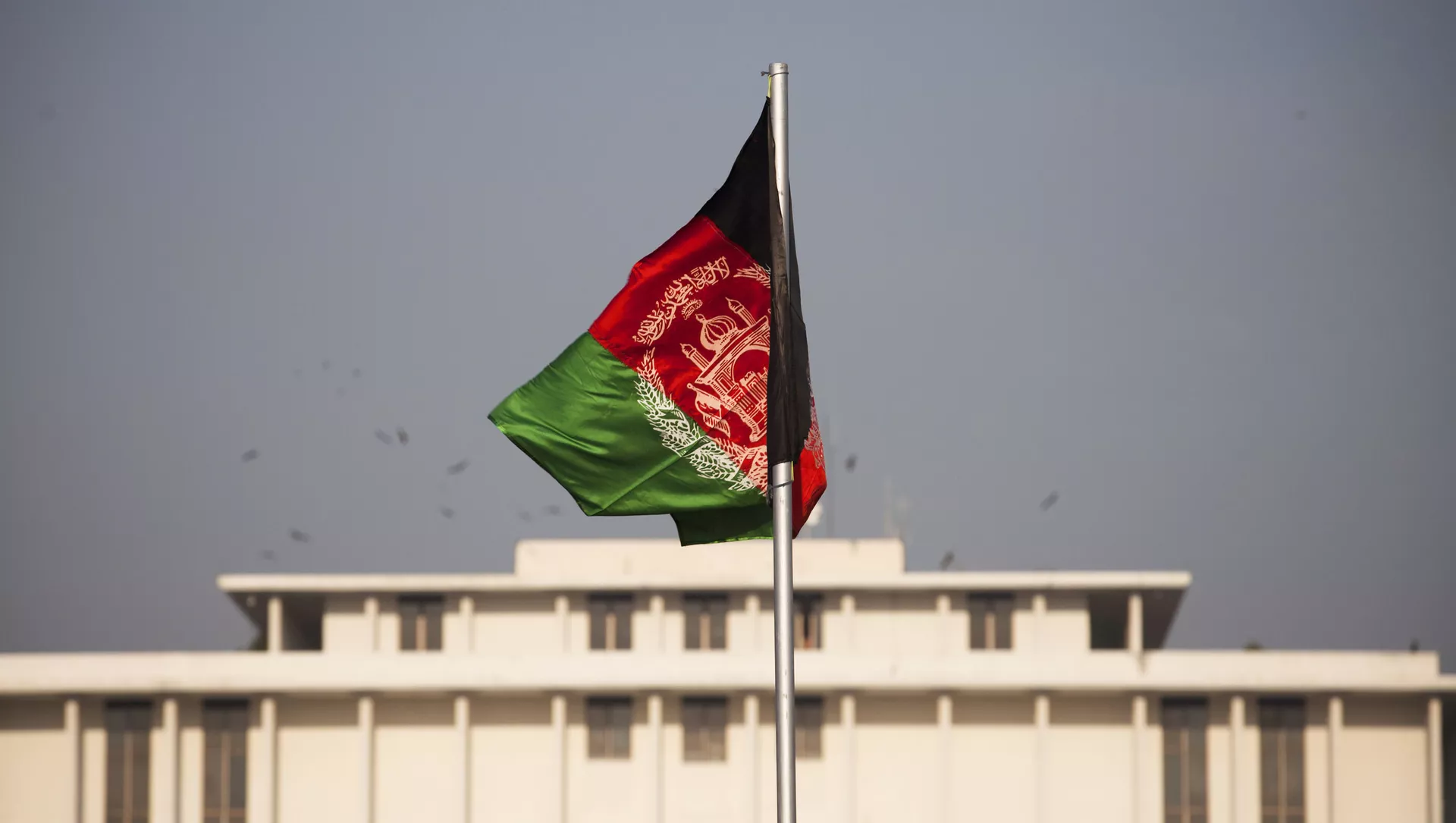 افغانستان پس از ۴۰ سال حکومتی یکپارچه و قدرتمند نیاز دارد