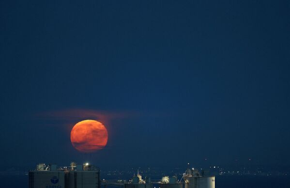 قرص کامل ماه آبی بر صحنه آسمان
توکیو - اسپوتنیک ایران  