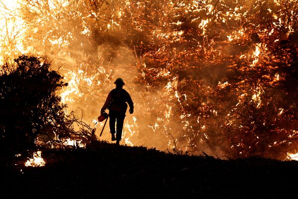 رویدادهای هفته به روایت تصویر
آتش سوزی جنگلی در کالیفرنیا - اسپوتنیک ایران  