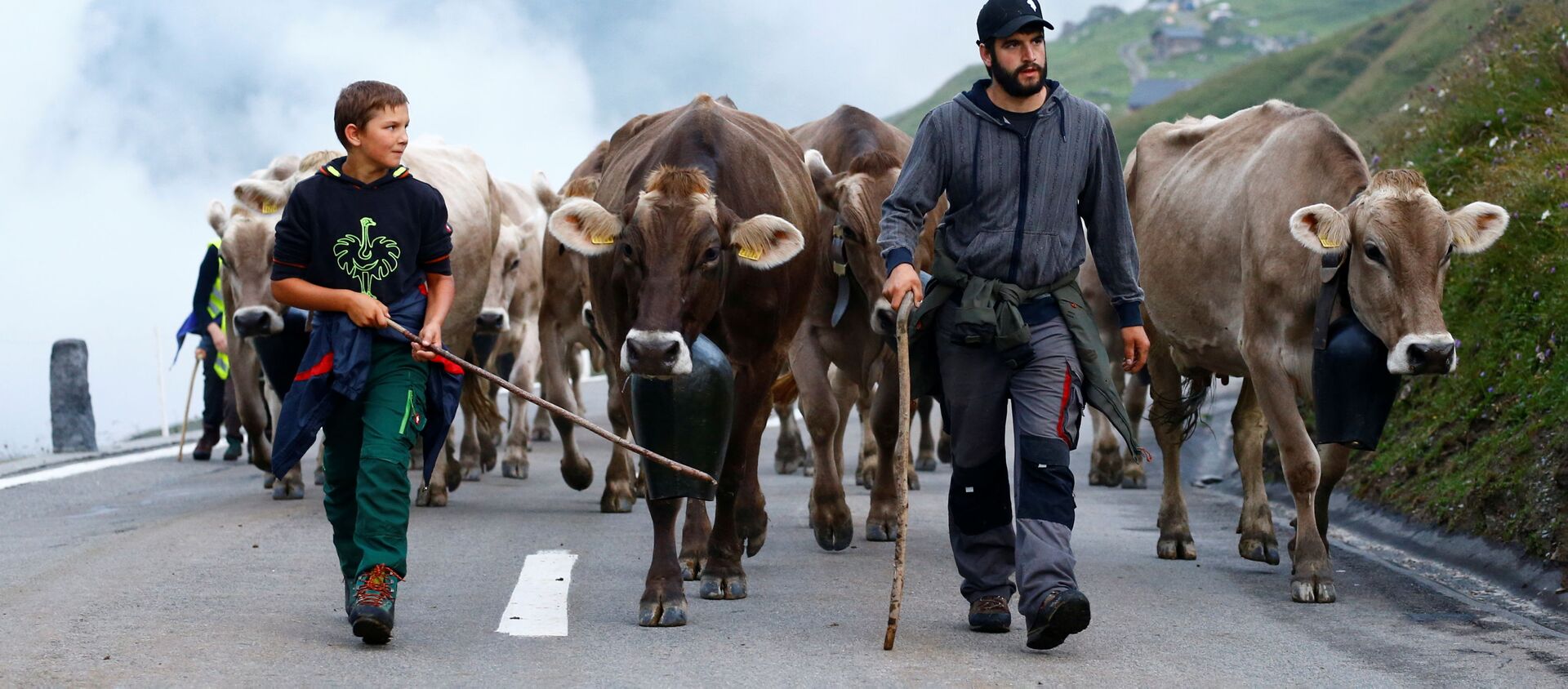 Погонщики с коровами по дороге к Урнербоден в Швейцарии  - اسپوتنیک ایران  , 1920, 15.09.2021