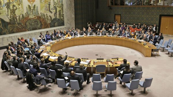Заседание совета безопасности ООН в Нью-Йорке - اسپوتنیک ایران  