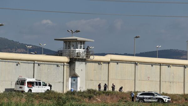وضعیت قرمز در زندان النقب اسرائیل - اسپوتنیک ایران  