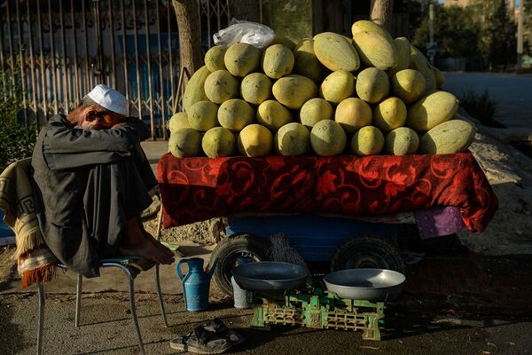 میوه فروش در خیابانی در کابل - اسپوتنیک ایران  