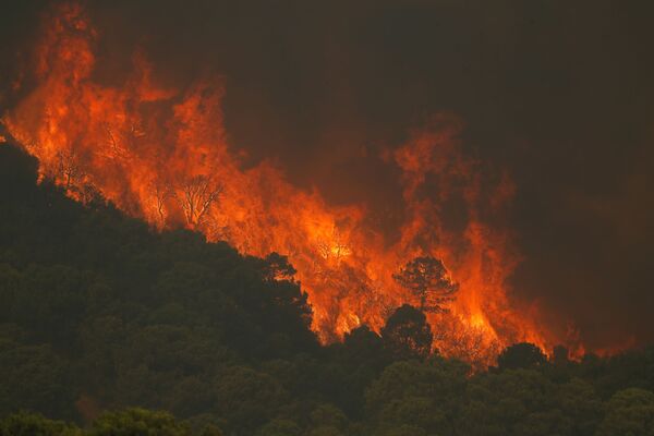 آتش سوزی در کوه های سررا برمها در استپون اسپانیا - اسپوتنیک ایران  