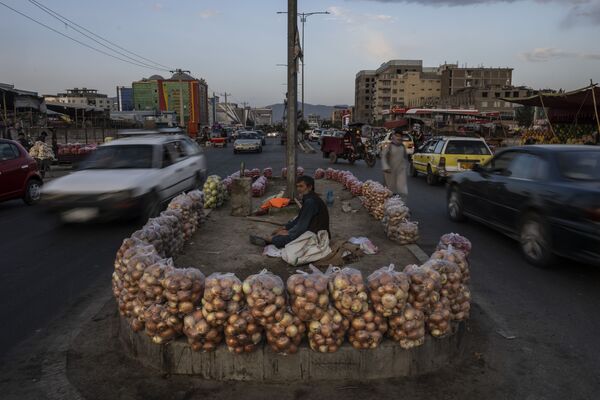 فروش میوه در کابل - افغانستان - اسپوتنیک ایران  