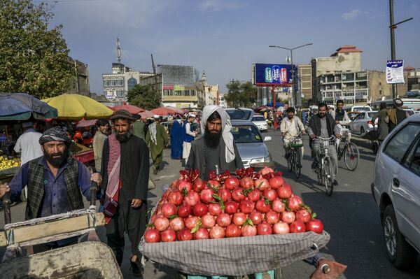 فروش انار در بازار کابل - اسپوتنیک ایران  