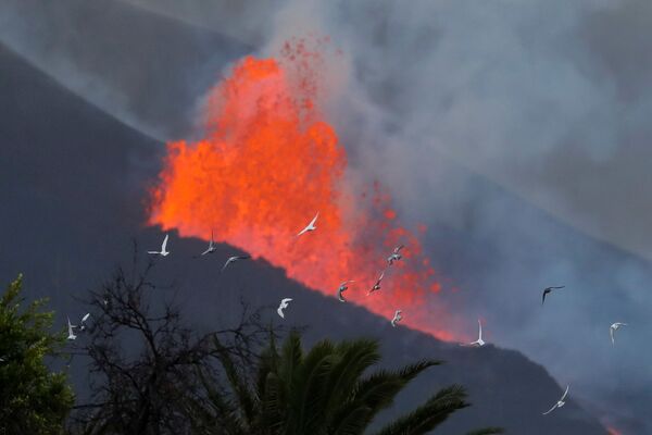 آتشفشان در جزیره لاپالما - اسپوتنیک ایران  