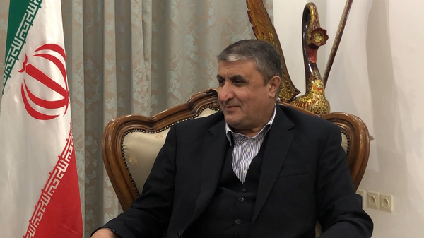 محمد اسلامی، معاون رئیس جمهور و رئیس سازمان انرژی اتمی ایران - اسپوتنیک ایران  
