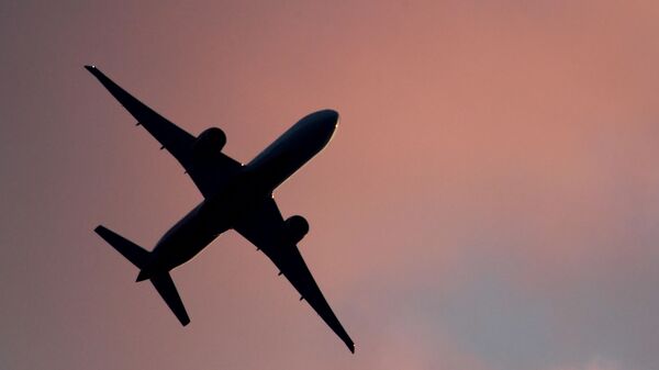 آتش گرفتن هواپیمای مسافربری در آمریکا به خاطر یک پرنده - اسپوتنیک ایران  